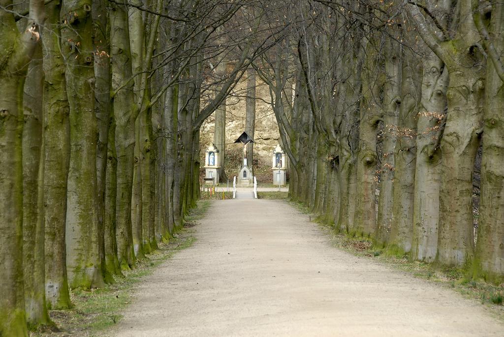Huis Ter Geul Valkenburg aan de Geul Exterior foto